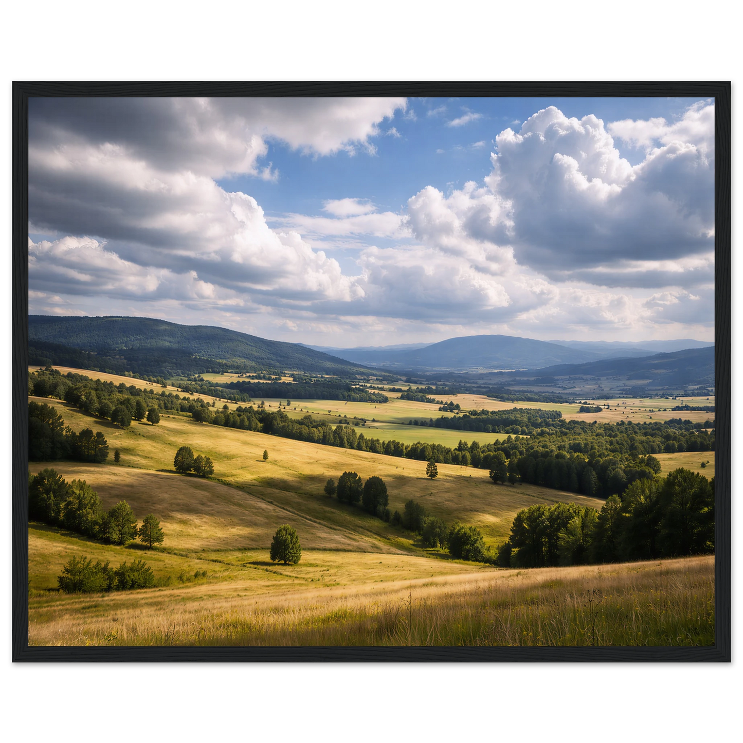 0226b317-bb6a-4e9b-b6a9-d56ff585ab35