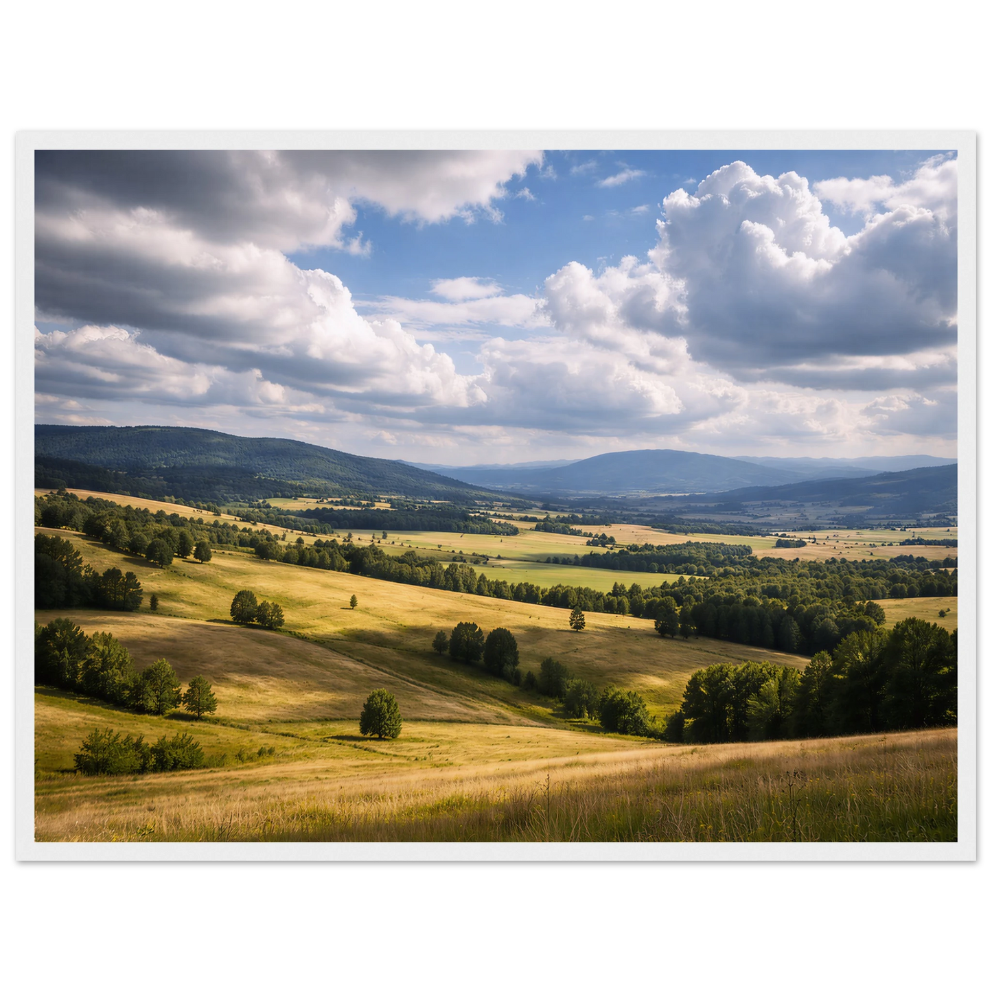 09cabefd-7856-4e56-878b-1f3ee0038c67