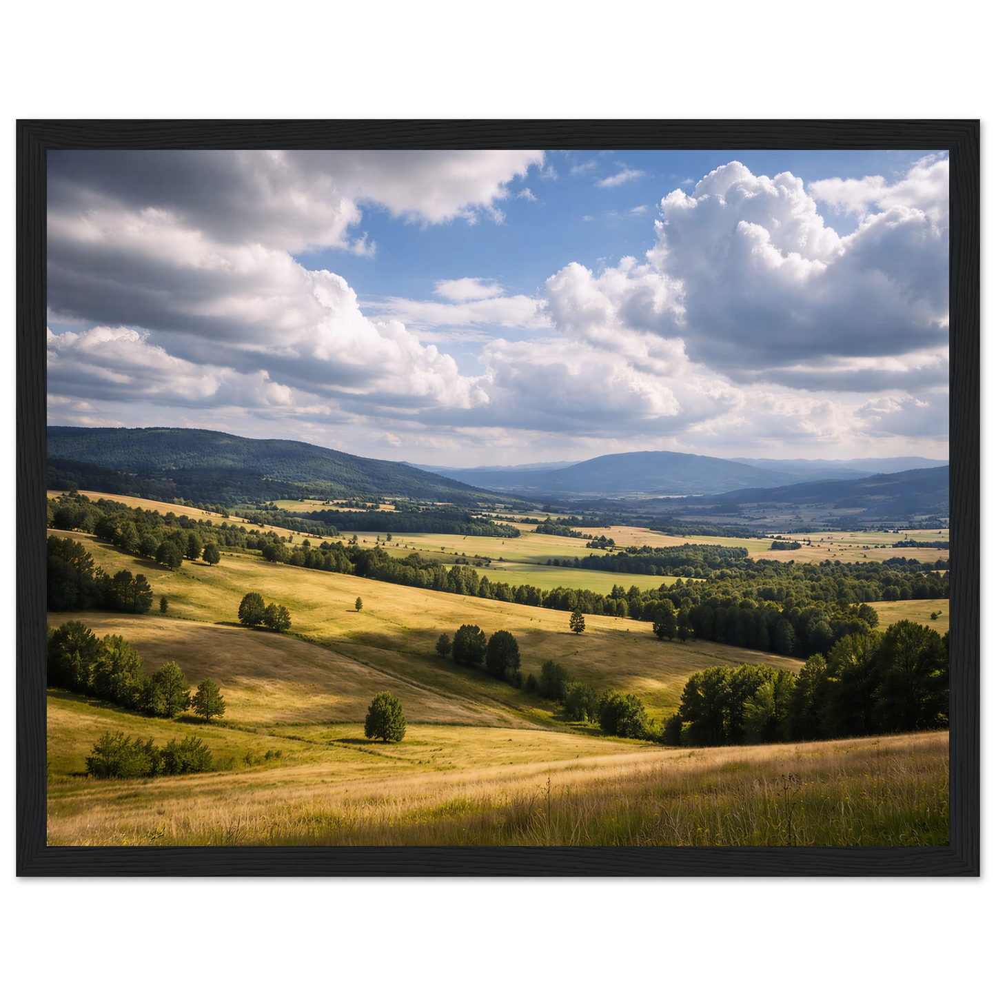 a67d4277-dfea-467e-91dc-fc0c45c6dc16